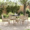Ensemble de salle à manger pour jardin 5 pcs Beige polyrotin 516106516106