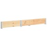 Jardinière surélevée 50x100 cm Bois de pin solide 516800516800