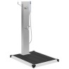 Douche d'extérieur avec receveur de douche WPC Acier inoxydable 516865516865