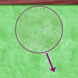 Chenil moka 96x87x80,5 cm bois de pin solide 516998516998