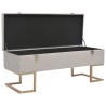 Banc avec compartiment de rangement 105 cm Gris Velours 517301517301