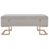 Banc avec compartiment de rangement 105 cm Gris Velours 517301517301