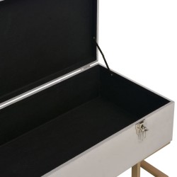 Banc avec compartiment de rangement 105 cm Gris Velours 517301517301