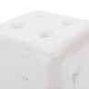 Poufs 2 pcs Blanc 30 x 30 x 30 cm Similicuir 517668517668