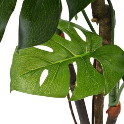 Plante artificielle avec pot Monstera 170 cm Vert 517816517816