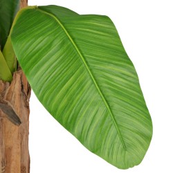 Bananier artificiel avec pot 250 cm Vert  517817517817