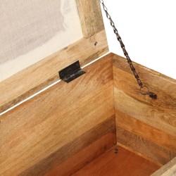 Banc de rangement Bois massif recyclé 80 x 40 x 40 cm 517873517873