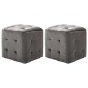 2 pcs Poufs Gris 30 x 30 x 30 cm Tissu velours 517946517946