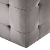2 pcs Poufs Gris 30 x 30 x 30 cm Tissu velours 517946517946