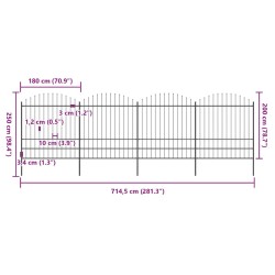 Clôture de jardin avec dessus en forme de lance en acier 714,5 x 200 cm Noir 517961517961
