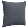 Coussins de canapé 2 pcs Gris foncé 50 x 50 cm 519093519093