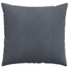 Coussins de canapé 2 pcs Gris foncé 50 x 50 cm 519093519093