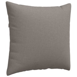 Coussins de canapé 2 pcs Taupe 50 x 50 cm tissu 519114519114