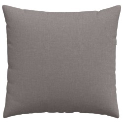 Coussins de canapé 2 pcs Taupe 50 x 50 cm tissu 519114519114