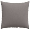 Coussins de canapé 2 pcs Taupe 50 x 50 cm tissu 519114519114