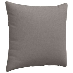 Coussins de canapé 2 pcs Taupe 45 x 45 cm tissu 519115519115