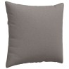 Coussins de canapé 2 pcs Taupe 45 x 45 cm tissu 519115519115