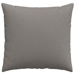 Coussins de canapé 2 pcs Taupe 45 x 45 cm tissu 519115519115