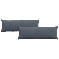 Coussins de canapé 2 pcs Gris foncé 120 x 40 cm 519165519165