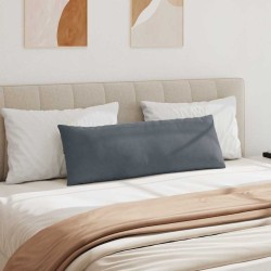 Coussins de canapé 2 pcs Gris foncé 120 x 40 cm 519165519165