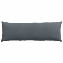 Coussins de canapé 2 pcs Gris foncé 120 x 40 cm 519165519165