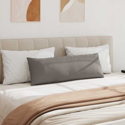 Coussins de canapé 2 pcs Taupe 120 x 40 cm tissu 519175519175