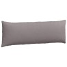 Coussins de canapé 2 pcs Taupe 120 x 40 cm tissu 519175519175