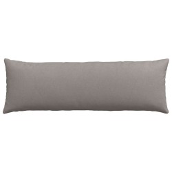 Coussins de canapé 2 pcs Taupe 120 x 40 cm tissu 519175519175