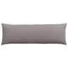 Coussins de canapé 2 pcs Taupe 120 x 40 cm tissu 519175519175
