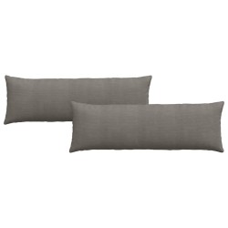 Coussins de canapé 2 pcs Gris clair 120 x 40 cm 519181519181