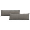 Coussins de canapé 2 pcs Gris clair 120 x 40 cm 519181519181