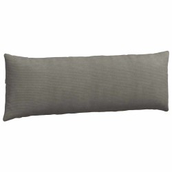 Coussins de canapé 2 pcs Gris clair 120 x 40 cm 519181519181