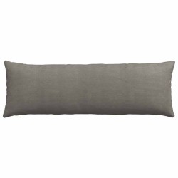 Coussins de canapé 2 pcs Gris clair 120 x 40 cm 519181519181