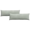 Coussins de canapé 2 pcs Gris clair 120 x 40 cm 519188519188