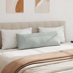 Coussins de canapé 2 pcs Gris clair 120 x 40 cm 519188519188