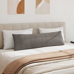 Coussins de canapé 2 pcs Gris clair 145 x 40 cm 519190519190