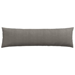 Coussins de canapé 2 pcs Gris clair 145 x 40 cm 519190519190