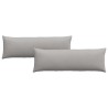 Coussins de canapé 2 pcs Gris nuage 120 x 40 cm tissu 519199519199