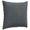 Coussins de canapé 2 pcs Gris foncé 45 x 45 cm 519216519216