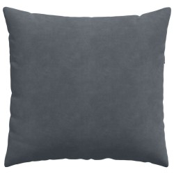 Coussins de canapé 2 pcs Gris foncé 45 x 45 cm 519216519216