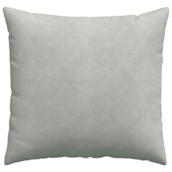 Coussins de canapé 2 pcs Gris clair 45 x 45 cm 519217519217