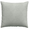 Coussins de canapé 2 pcs Gris clair 45 x 45 cm 519217519217
