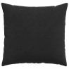 Coussins de canapé 2 pcs Noir 45 x 45 cm 519222519222
