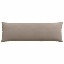 Coussins de canapé 2 pcs Taupe 120 x 40 cm tissu 519242519242