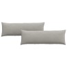 Coussins de canapé 2 pcs Gris clair 120 x 40 cm tissu 519245519245
