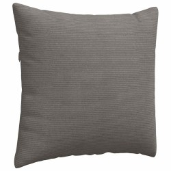 Coussins de canapé 2 pcs Gris clair 45 x 45 cm 519248519248