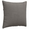 Coussins de canapé 2 pcs Gris clair 45 x 45 cm 519248519248