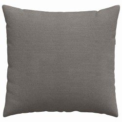 Coussins de canapé 2 pcs Gris clair 45 x 45 cm 519248519248