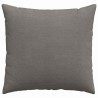 Coussins de canapé 2 pcs Gris clair 45 x 45 cm 519248519248