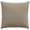 Coussins de canapé 2 pcs Taupe 45 x 45 cm tissu 519254519254